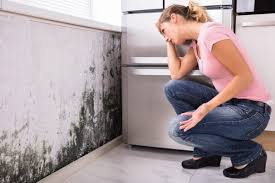 Reliable Goldendale, WA Mold Removal Solutions